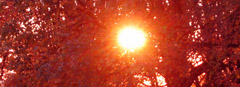 Sonnenuntergang04